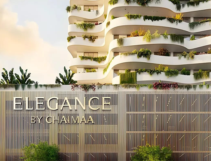Our Projects